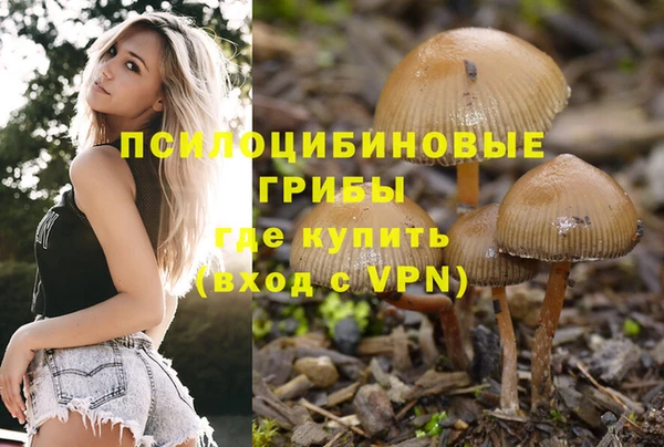 мяу мяу мука Каменск-Шахтинский