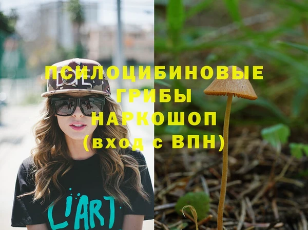 мяу мяу мука Каменск-Шахтинский