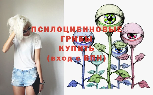 СК Карпинск