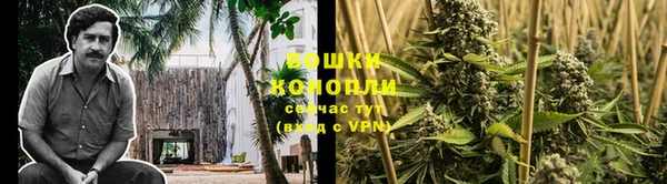 прущие грибы Остров