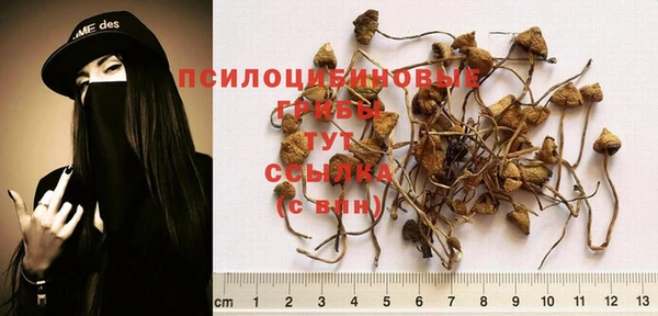 кокаин VHQ Каменногорск